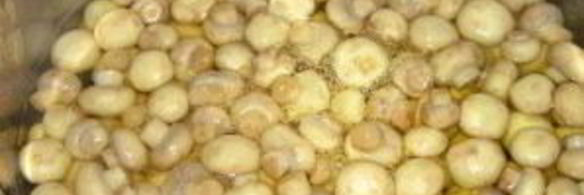 маринованные грибочки на зиму