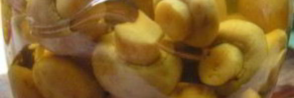 маринованные грибочки на зиму