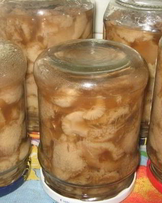 Маринованные маслята быстро