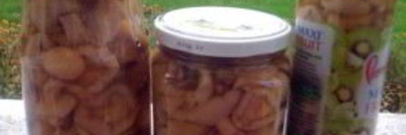 маринованные маслята жареные