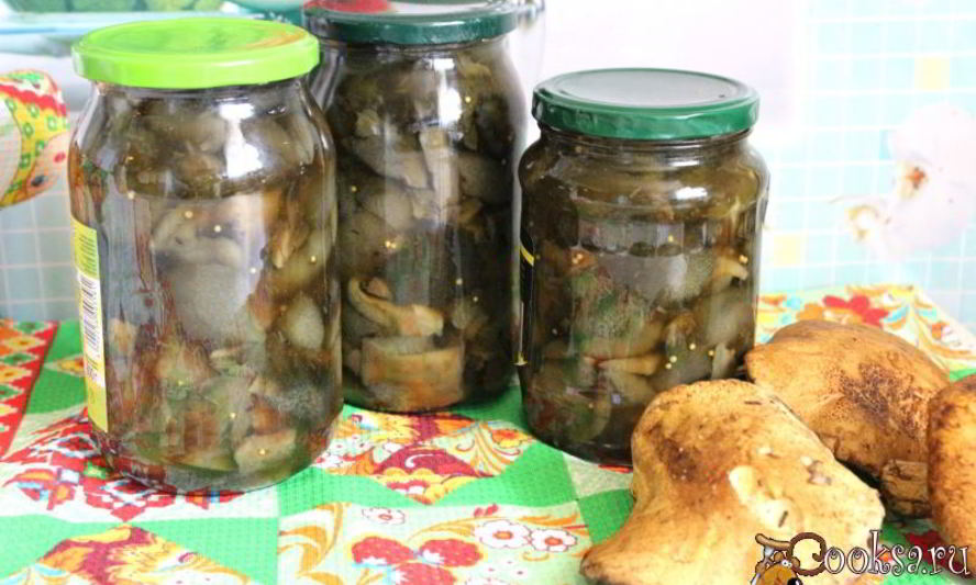 Рецепт маринованных моховиков на зиму