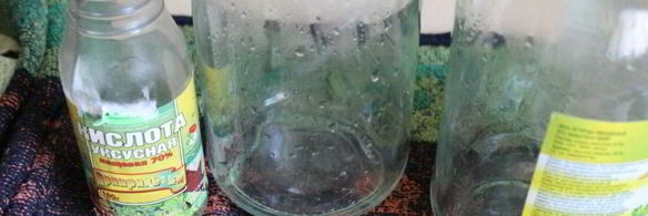 маринованные моховики на зиму