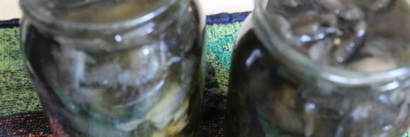 маринованные моховики на зиму