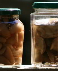 Маринованные моховики