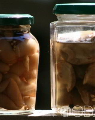 Маринованные моховики