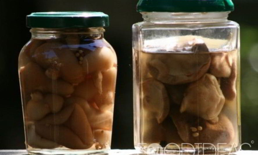 Рецепт маринованных моховиков