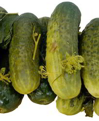 Маринованные огурцы без стерилизации