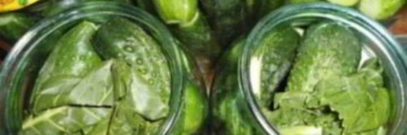 маринованные огурцы без уксуса