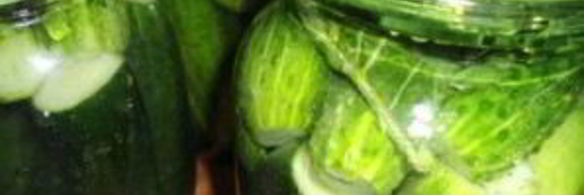 маринованные огурцы без уксуса