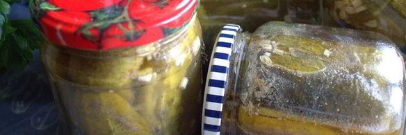 маринованные огурцы с горчицей