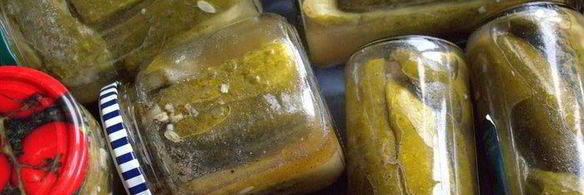 маринованные огурцы с горчицей