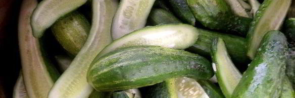 маринованные огурцы с горчицей