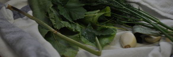 маринованные огурцы