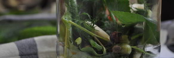 маринованные огурцы