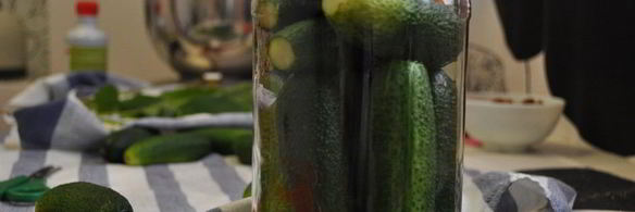 маринованные огурцы