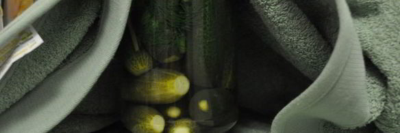 маринованные огурцы