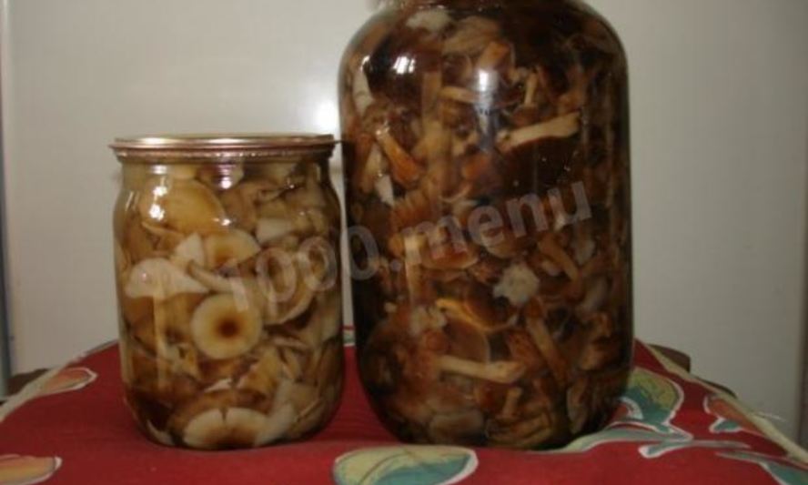 Рецепт маринованных опят по-белорусски