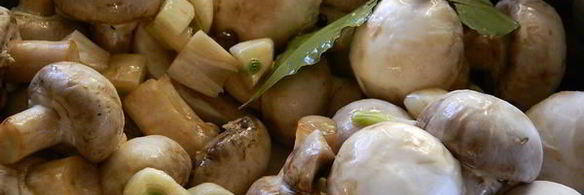 маринованные шампиньоны 4-х минутки