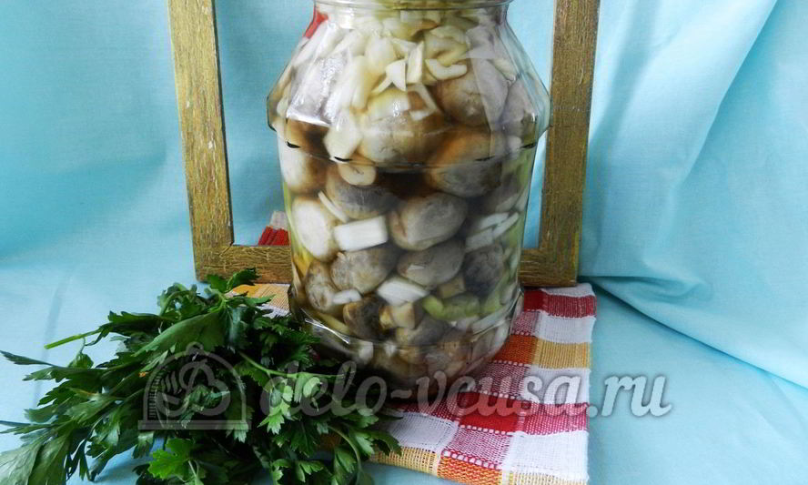 Рецепт маринованных шампиньонов на зиму
