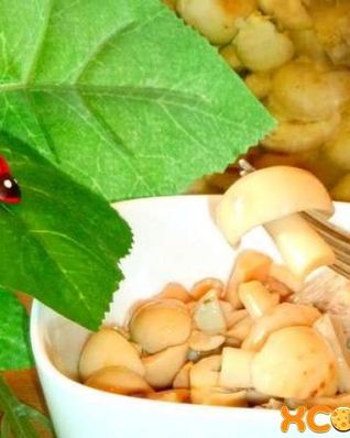 Маринованные сыроежки