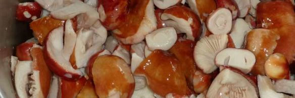 маринованные сыроежки