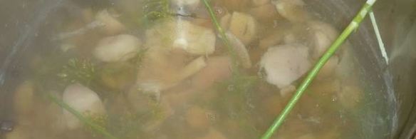 маринованные сыроежки