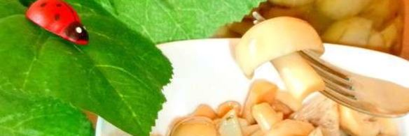 маринованные сыроежки