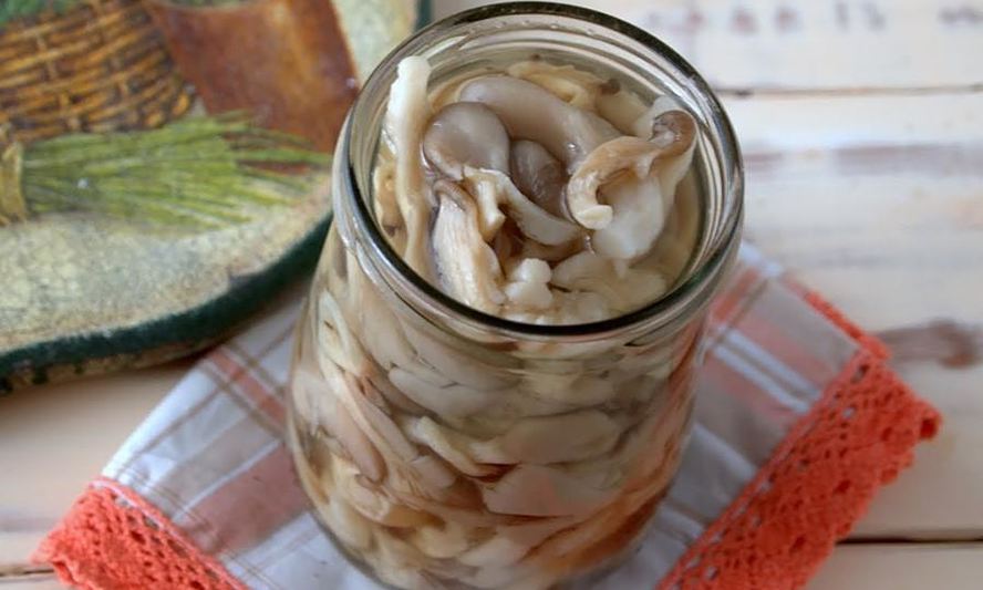 Рецепт маринованных вешенок на зиму