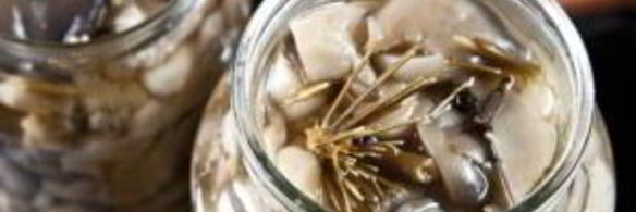 маринованные вешенки