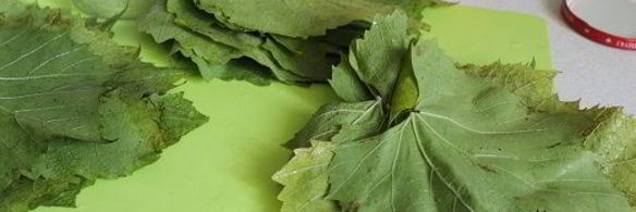 маринованные виноградные листья