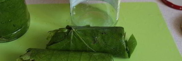 маринованные виноградные листья