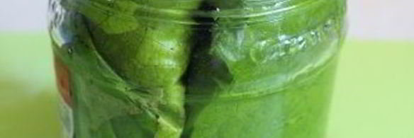 маринованные виноградные листья