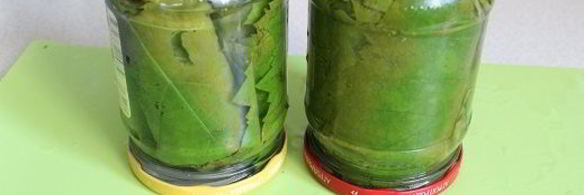 маринованные виноградные листья