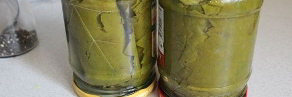 маринованные виноградные листья