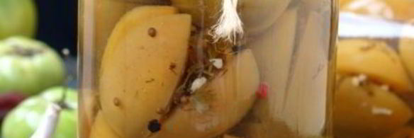 маринованные зеленые помидоры по-грузински на зиму