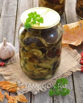 Моховики маринованные