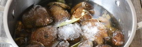 моховики маринованные