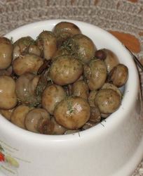 Шампиньоны маринованные