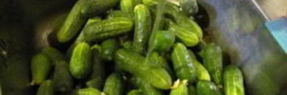 огурцы без уксуса на зиму