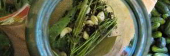 огурцы без уксуса на зиму