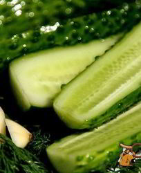 Огурцы сухого посола на зиму