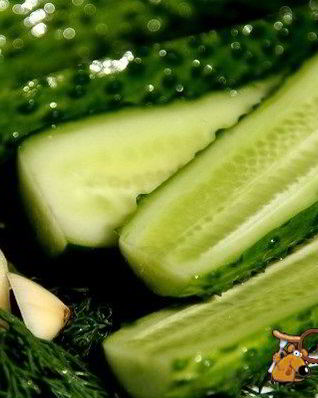Огурцы сухого посола на зиму
