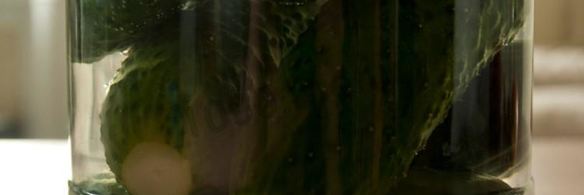 огурцы в томатном соке на зиму