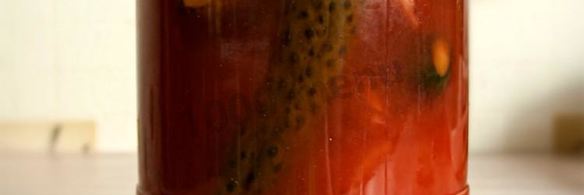 огурцы в томатном соке на зиму