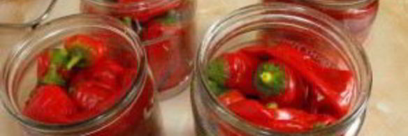 перец горький на зиму