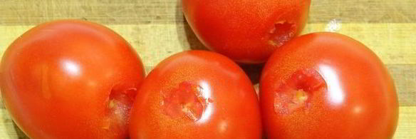 помидоры, квашенные с чесноком и зеленью