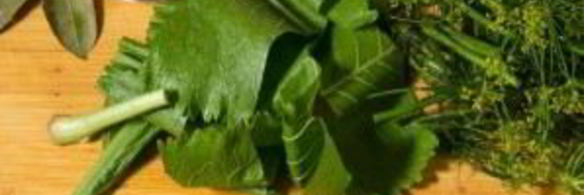 помидоры квашеные на зиму