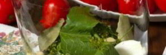 помидоры квашеные на зиму