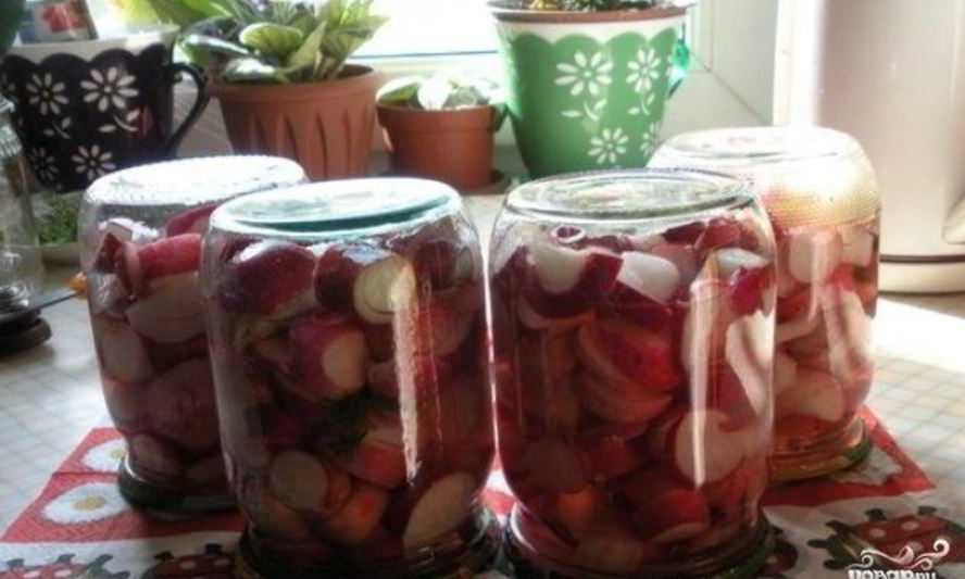 Рецепт редиса на зиму