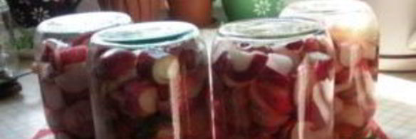 редис на зиму